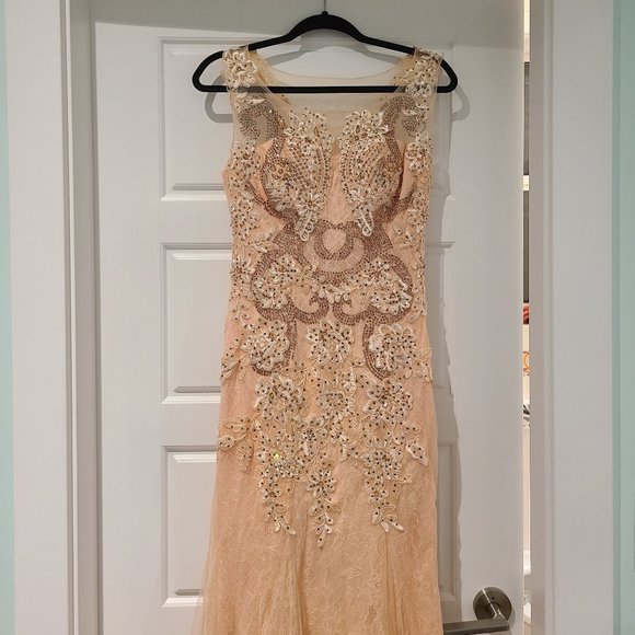 Stunning Peach Lace Gown with Train - Picture 2 of 12